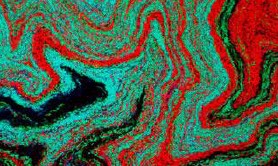 Bacterial Biofilm 3