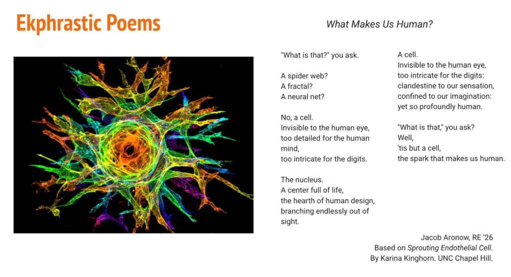 Ekphrastic Poetry Presentation_Images for the Our Study Page_ 3